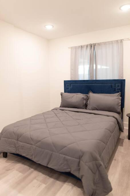 Platinum Palace 1Br 1Ba - Central Dallas Stay エクステリア 写真
